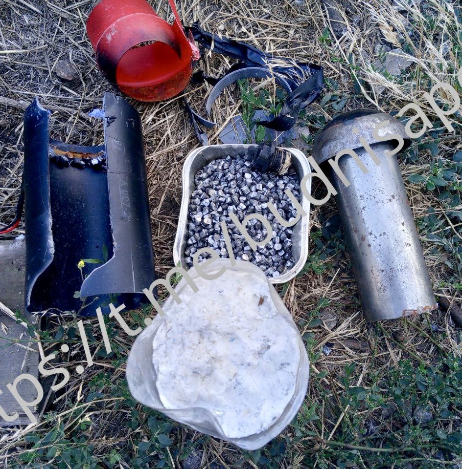 Roy🇨🇦 tweet media