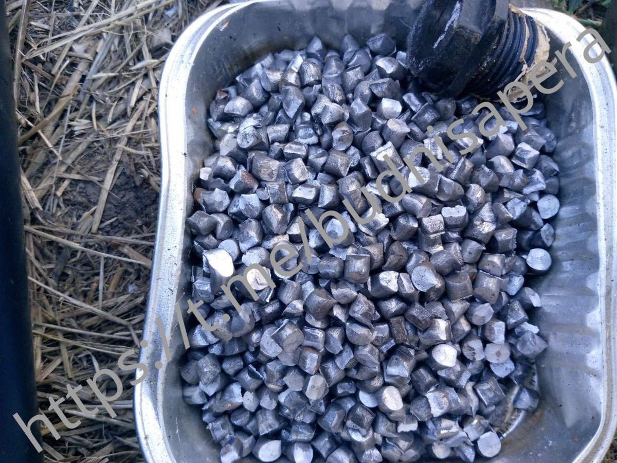 Roy🇨🇦 tweet media