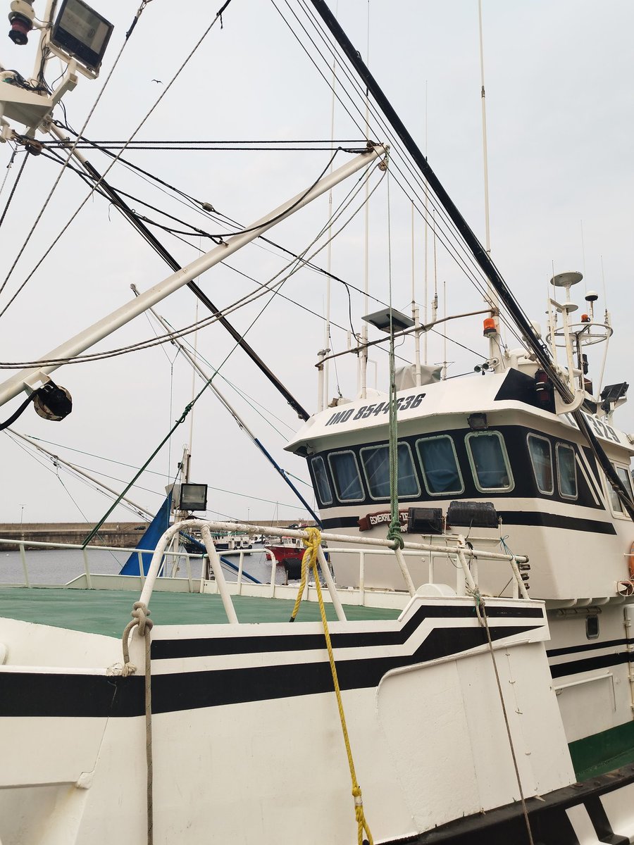 Y después del día, hagamos un abordaje a la noche .
#BuenasNoches  #BesosyAbrazos 
#Besosfielcompañera