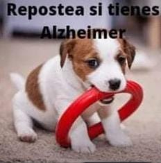 ReposteaSiTienesAlzheimer tweet media
