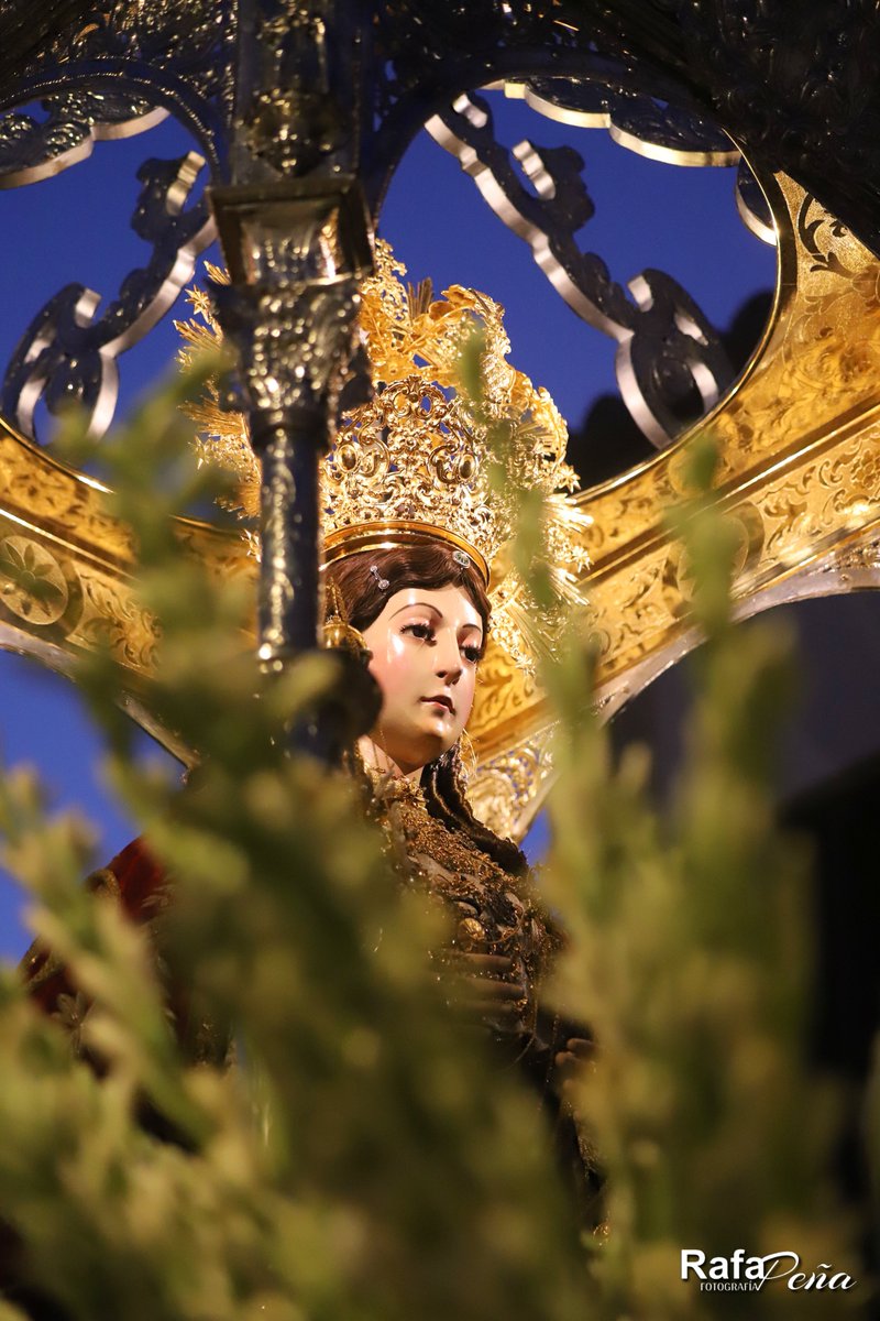 Rafa Peña Fotografía tweet media