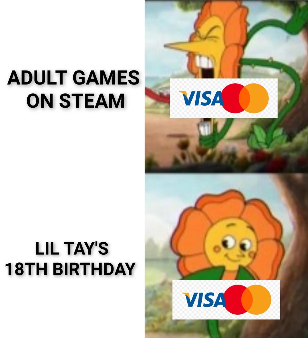 visa and mastercard are run by pedophile vampires