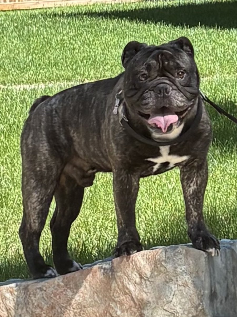Hey guys!! Just a quick update…since HB’s page took off i’ve been thinking about how ill share his content….I’ve got a few things in mind. It’s going to be soooo much fun. Stay tuned and stay handsome! -HB