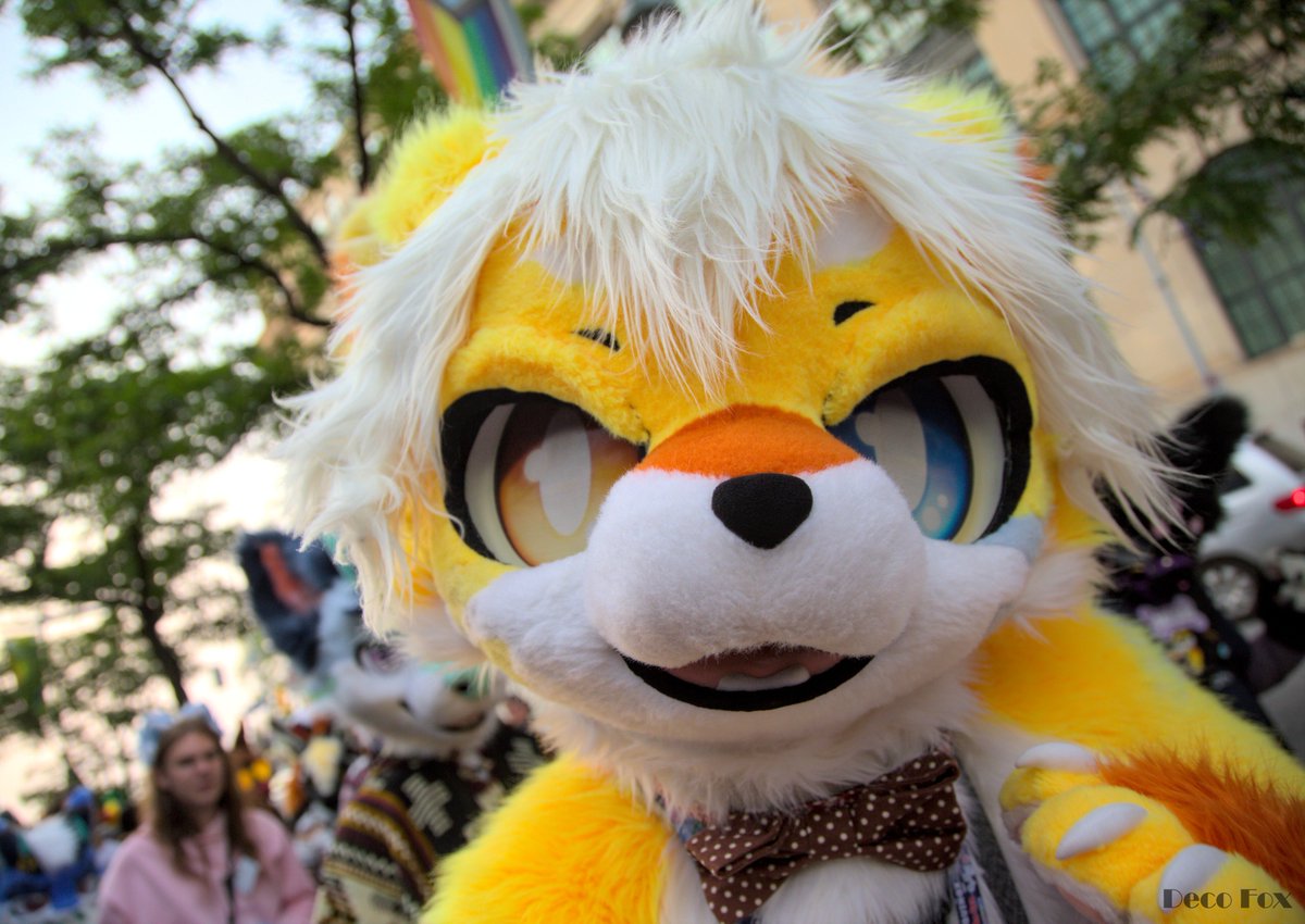 Found you Human
📸💛:  <a href="/DecoFox2/">Deco Fox</a>
#FursuitFriday   #Canfur2025
（*But you Foolish Children may call me Aki)