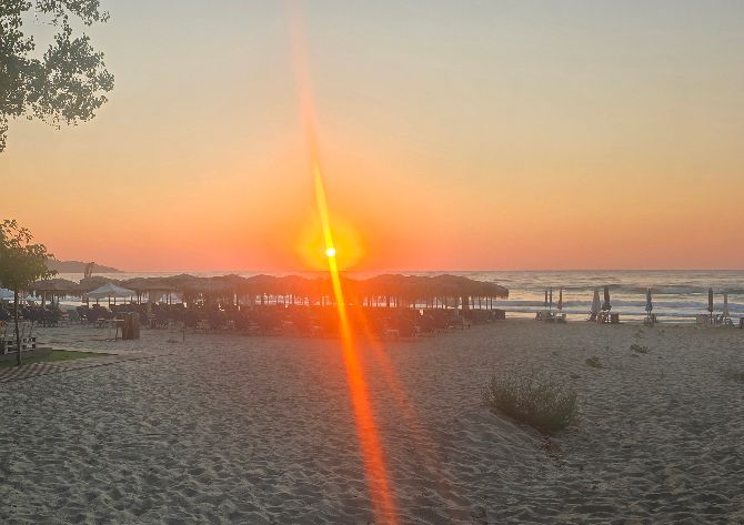 Shanebow Running & Tech tweet media