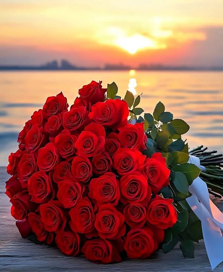 ❤️🌺❤️🌺🌷🌺❤️🌺❤️🌺❤️