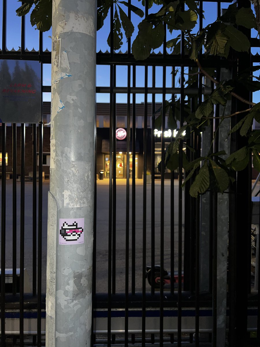 GN world!🌕

1% better each day at minimum👽