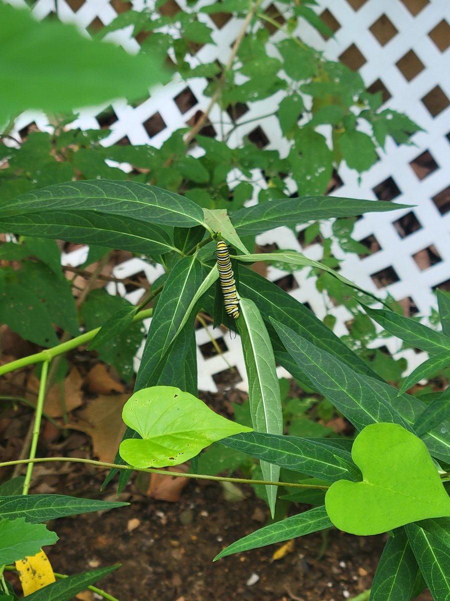 Matt Ashton tweet media