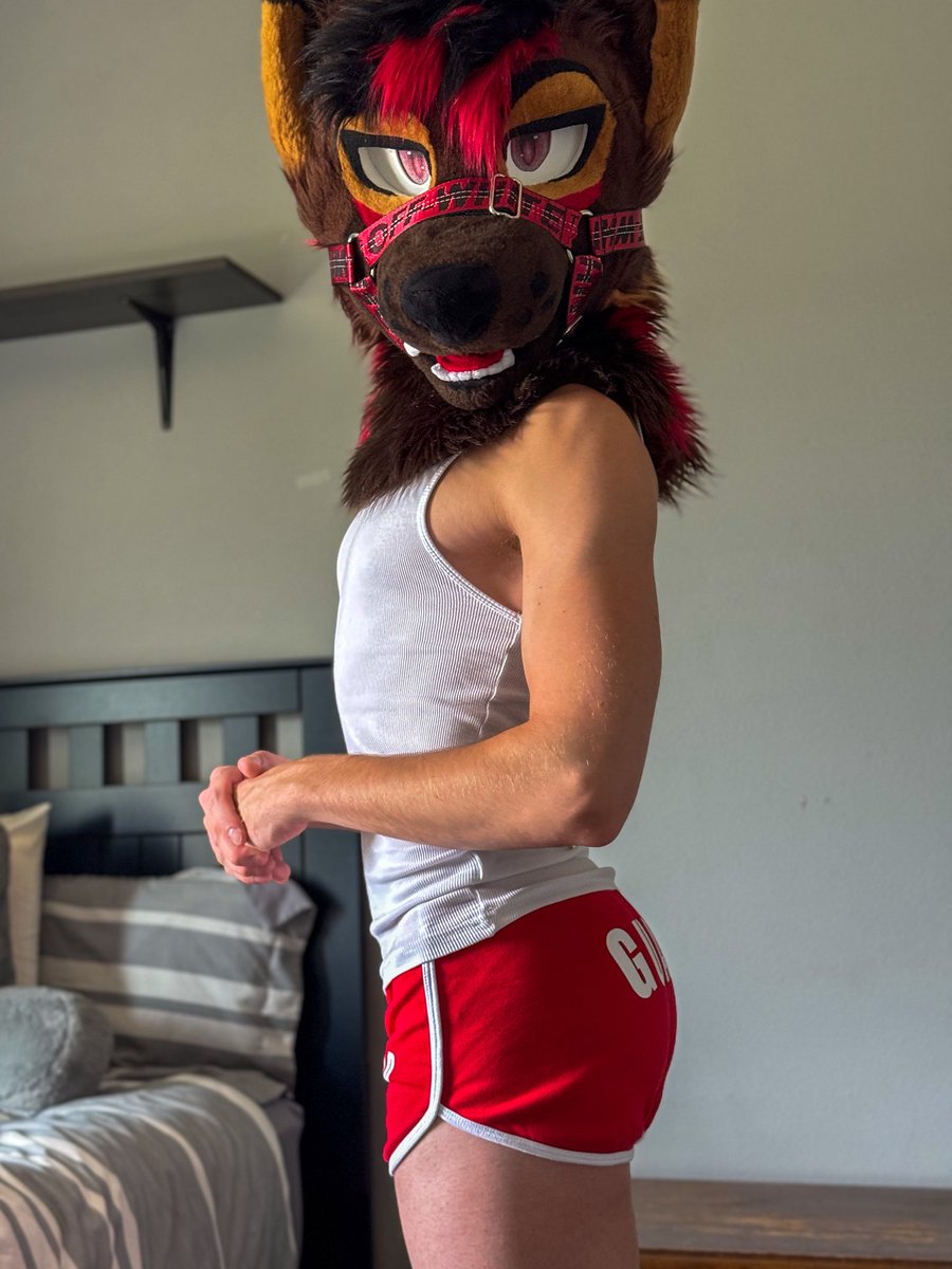 ryder_shep's tweet photo. Lifeguard will be serving cake poolside at Megaplex 🎂 https://t.co/i2hfcwLXKn