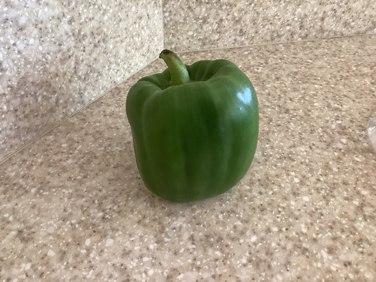 Katiebug (@cheesecake7777) on Twitter photo Itโs Katiebug from the Bridge ๐ถ๐
Mommy is such a birdbrain sometimes ๐
She shopped for the perfect green pepper ๐ซ to make Daddy breakfast burritos. ๐
17 burritos laterโฆ.she found the green pepper ๐ซ safely in the fridge ๐คฆโโ๏ธ๐คฆโโ๏ธ๐คฆโโ๏ธ๐คฆโโ๏ธ๐คฆโโ๏ธ๐คฆโโ๏ธ๐คฆโโ๏ธ Itโs Katiebug from the Bridge ๐ถ๐
Mommy is such a birdbrain sometimes ๐
She shopped for the perfect green pepper ๐ซ to make Daddy breakfast burritos. ๐
17 burritos laterโฆ.she found the green pepper ๐ซ safely in the fridge ๐คฆโโ๏ธ๐คฆโโ๏ธ๐คฆโโ๏ธ๐คฆโโ๏ธ๐คฆโโ๏ธ๐คฆโโ๏ธ๐คฆโโ๏ธ