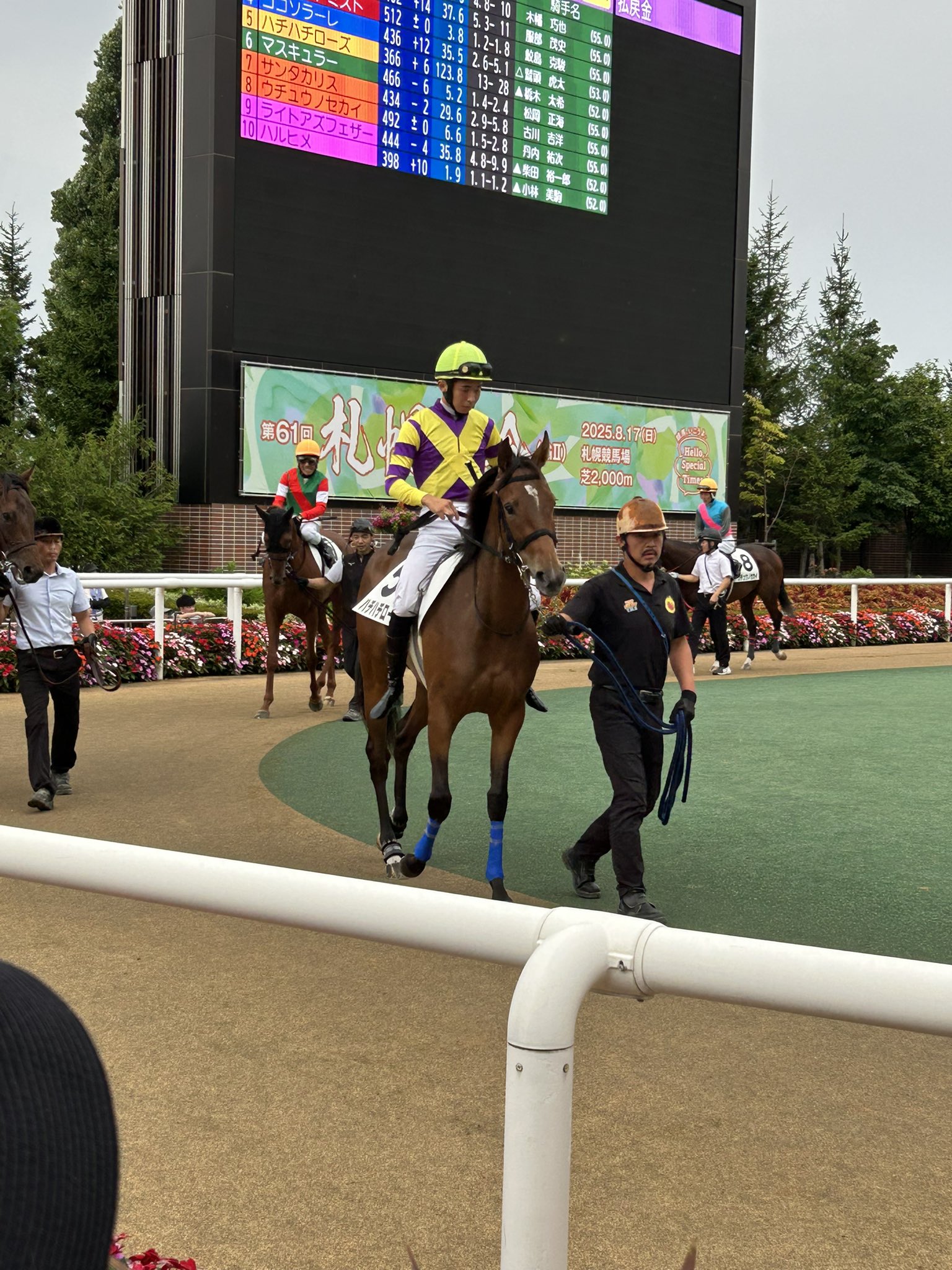 しずか様 ページ】 テクスチャーアート 馬 しずか様 ページ