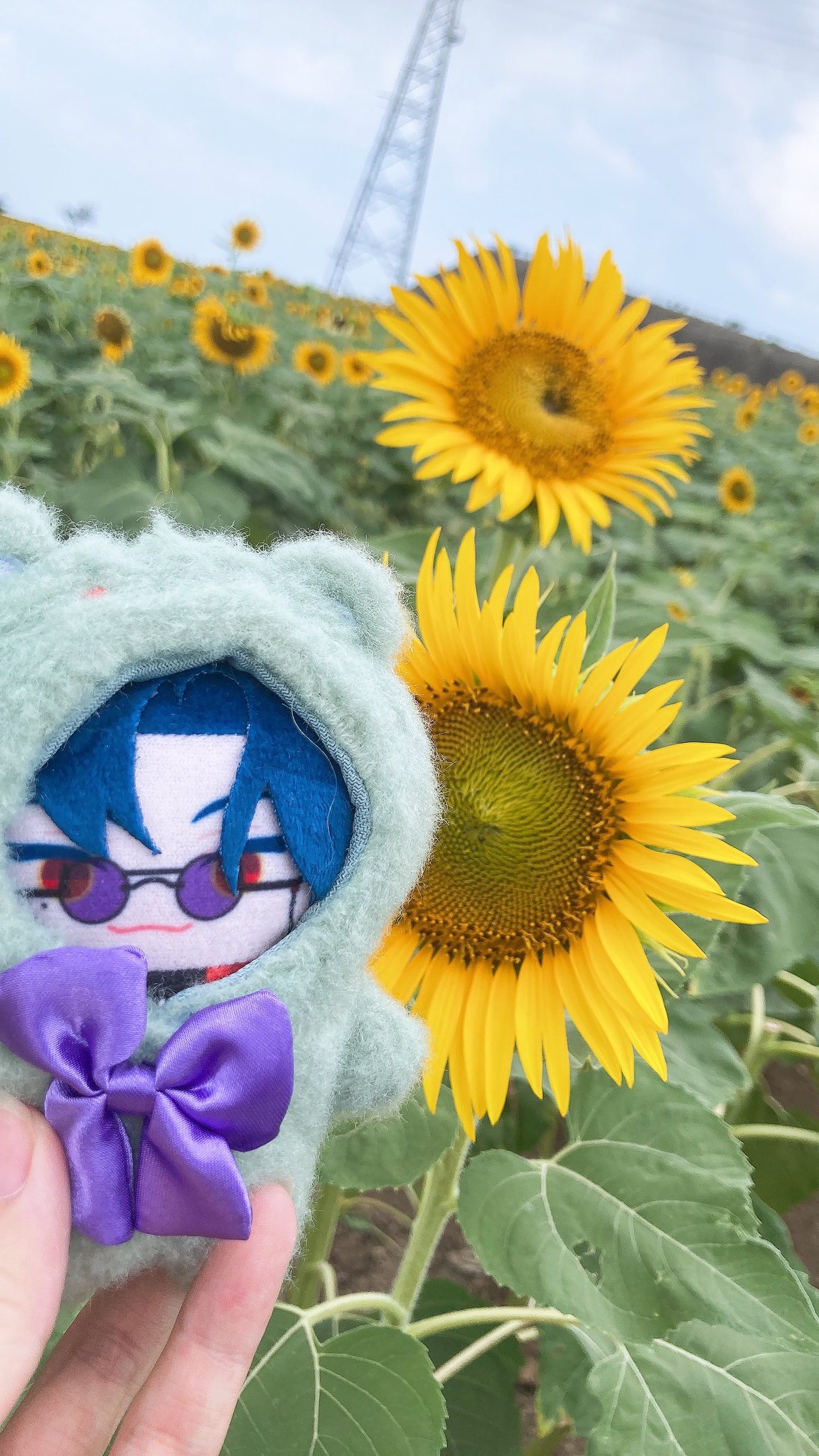 昇龍✧慈愛✧弥盛地✧いかさんのオルゴナイト❤ひまわりさま❤専用です 昇龍✧慈愛✧弥盛地✧いかさんのオルゴナイト❤ひまわりさま