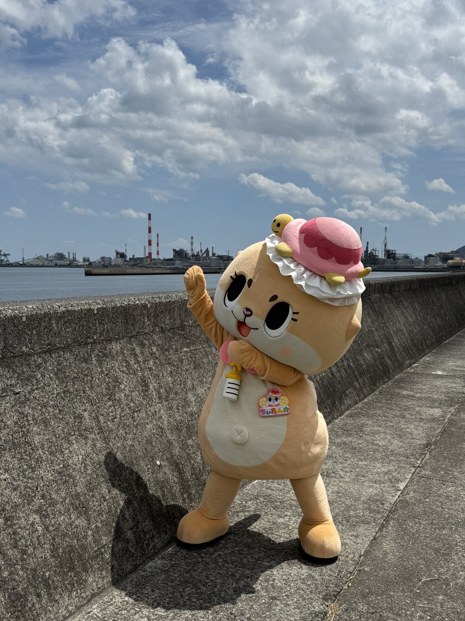 ちーたん専用です´◡͐` 公式：ちぃたん☆広島 (@chiitanmomiji) / X