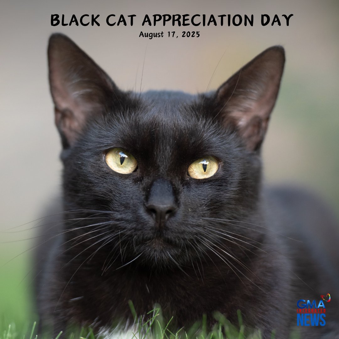 GMA Integrated News tweet media