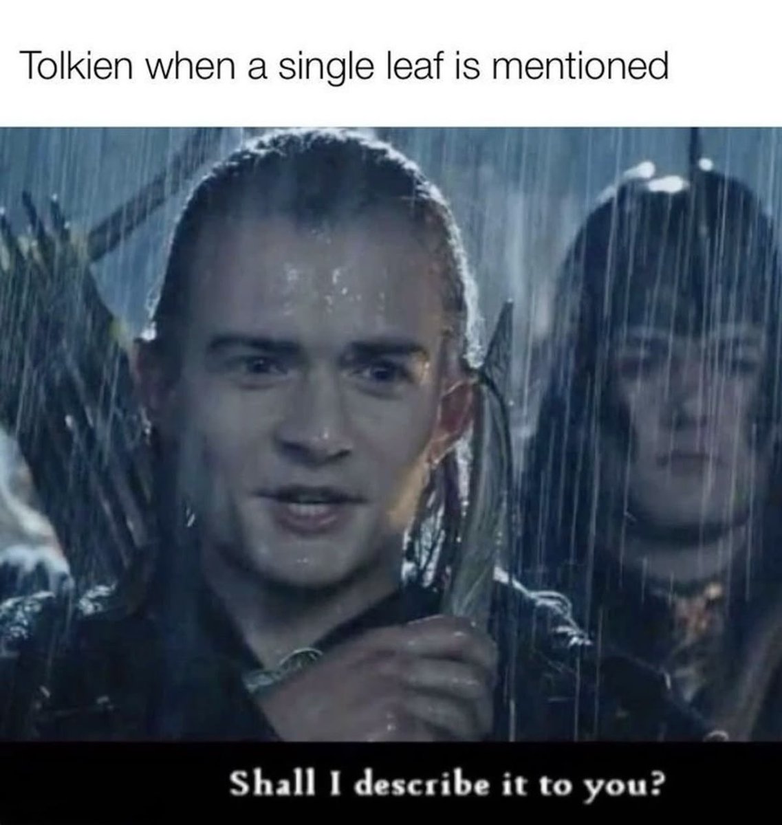 Shall I describe it to you?