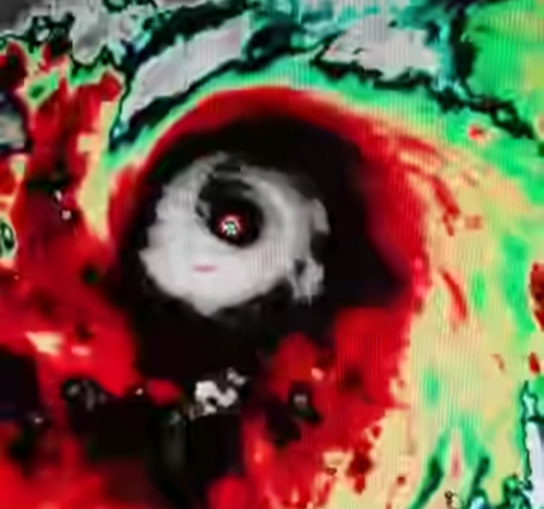 Al mediodía de este 16 de agosto, el huracán #Erin alcanzó la categoría 5, máxima de la escala Saffir-Simpson, con vientos de 260 km/h.
🌀Este huracán no conlleva en el presente ningún peligro para #Cuba
🌀Preste atención a los avisos de ciclón tropical del @Insmet