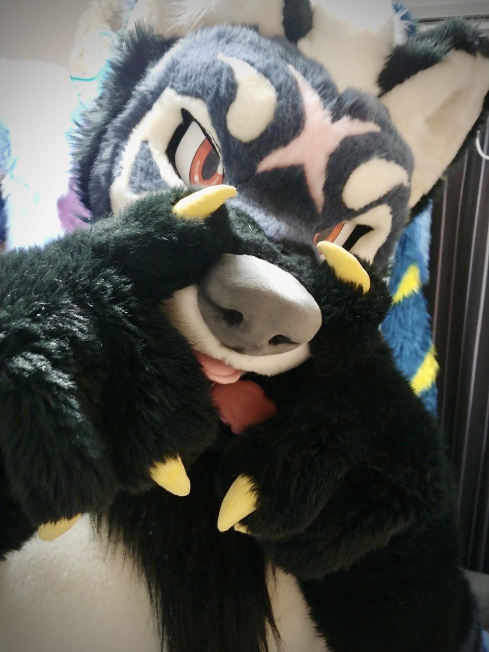 月夜🦨🦈 on X: 