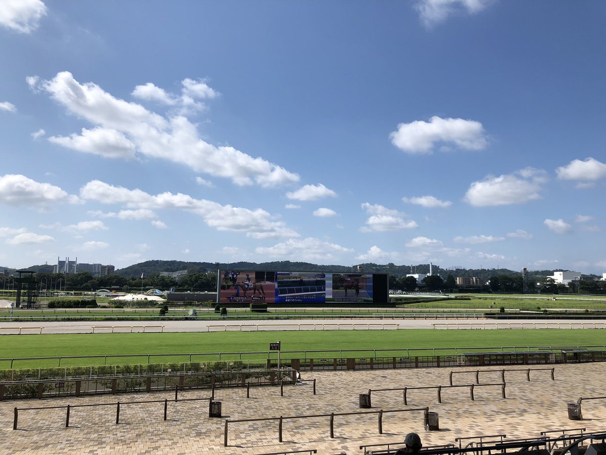 朝ランして汗だくのまま、東京競馬場に立ち寄って水分補給&amp;涼み。
実は1R前に来るのは初めて。
レース前ってグリチャの特集流してるんだね。