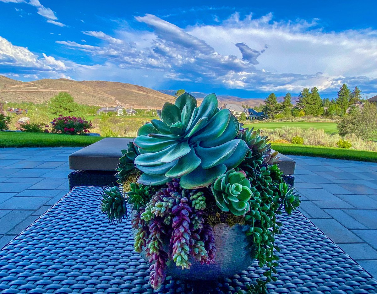 It feels like a front is coming in; wind up, cool air &amp; thunder claps, but no rain...yet.

Thorguard will be sure to keep us advised. ⚡🌩️😮 
#Reno