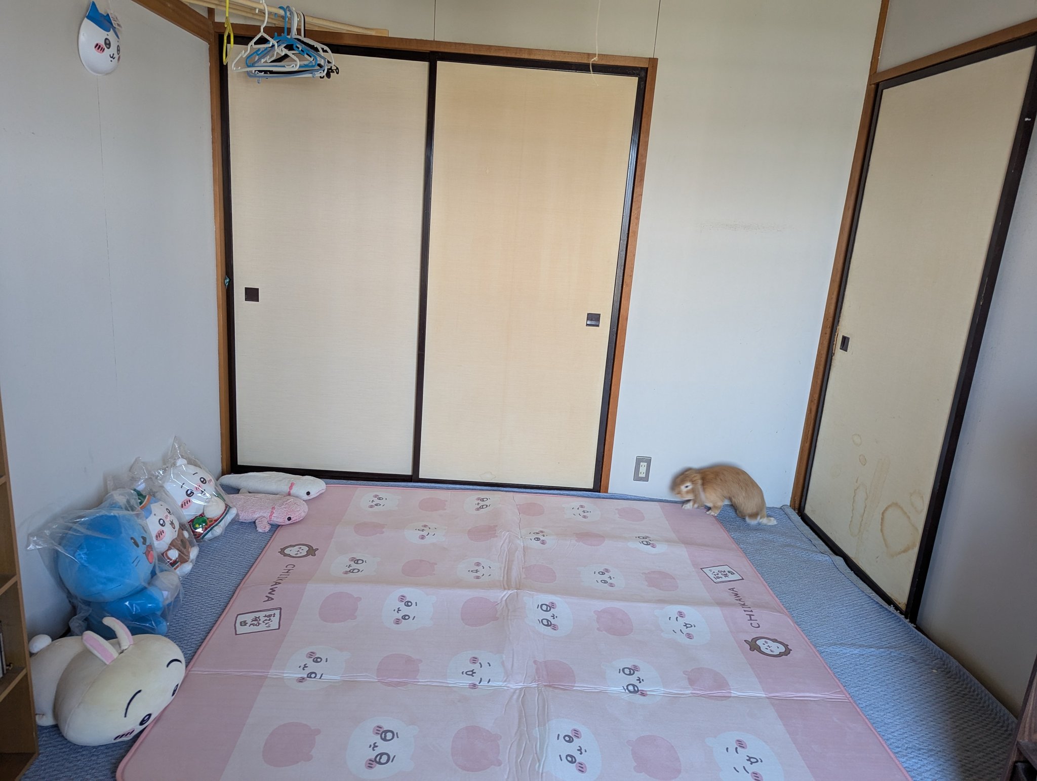 おまとめページのお部屋 R401💒幸せになれる💒🐣ぴよたそのおうち🐣・自宅のように