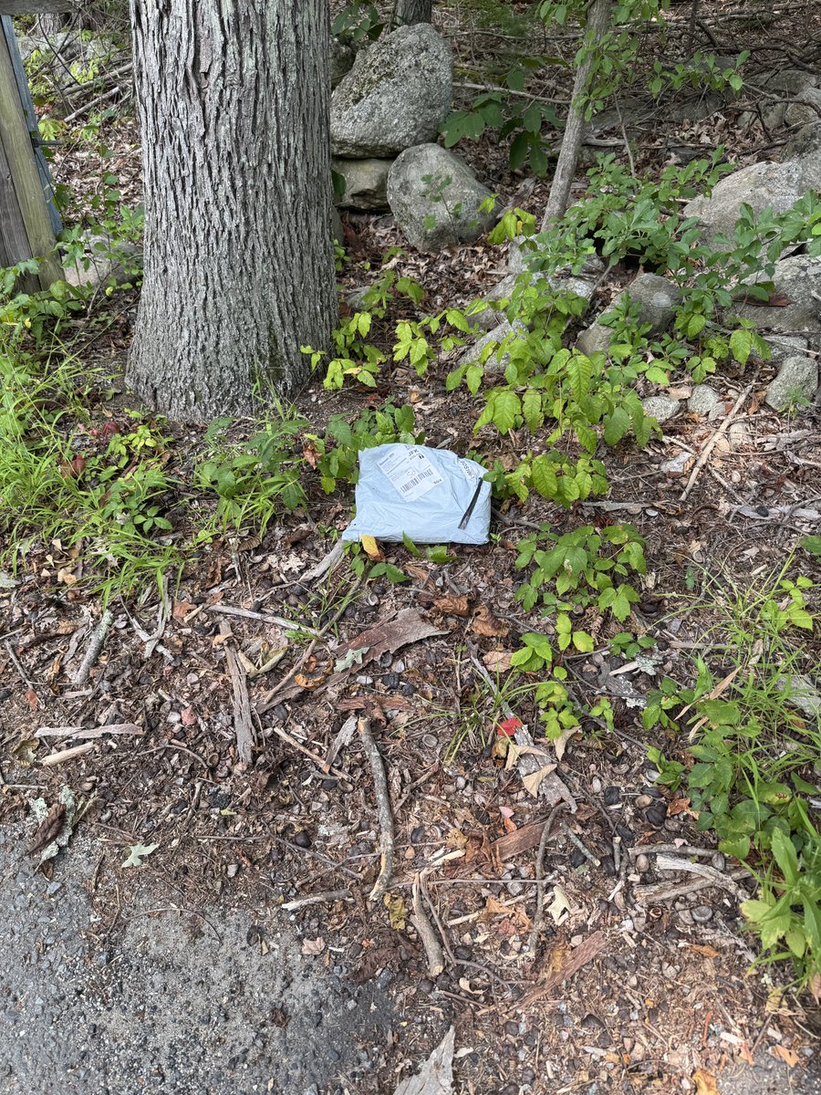 jtancrell's tweet image. Why does @SHEIN_Official use @speedx for delivery. I found my package in the woods, not in my mailbox which was empty, not at my door…..in the woods at the bottom of my driveway. Do better!!