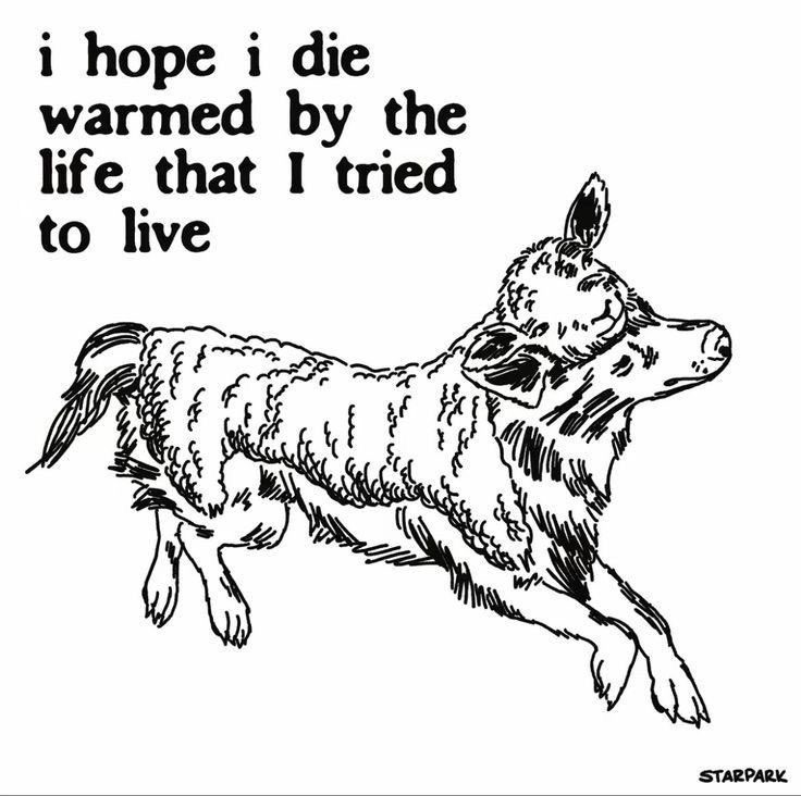 mila. (@saltintheburn) on Twitter photo 