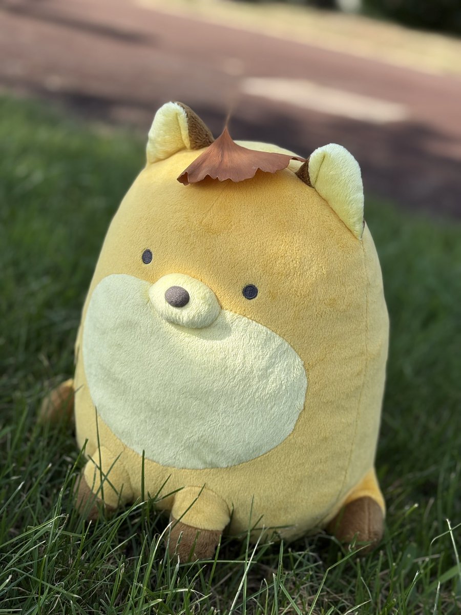 #なんもの撮ったよ