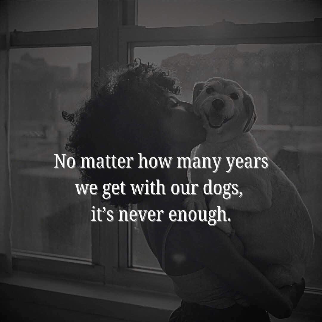 DogLovers03's tweet image. 