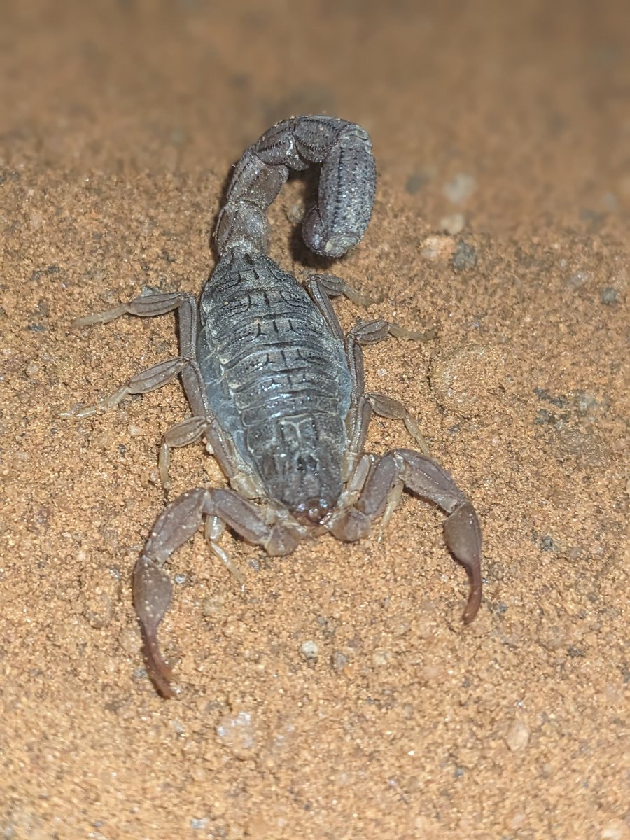 Welcome onboard 
Darkness 🌑