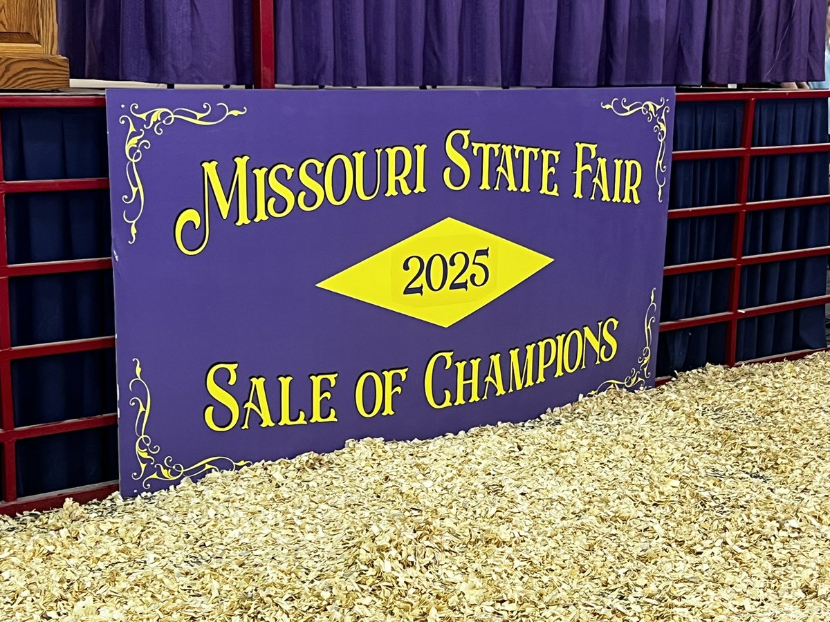 Combined, the Sale of Champions and Best of Missouri Sale raised more than  $332,000 for Youth in Agriculture today at the #MOStateFair.