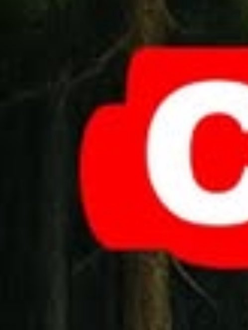 ᴀɴᴅʀᴇw вıԍԍs tweet media