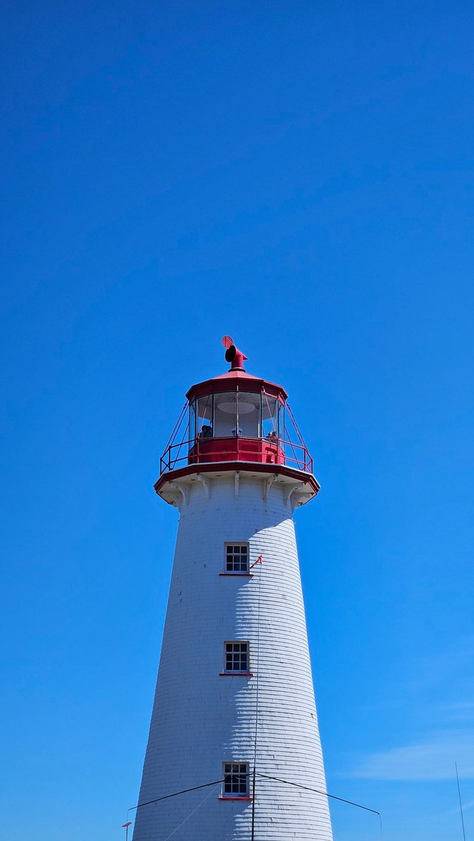 Ricardo Angel tweet media