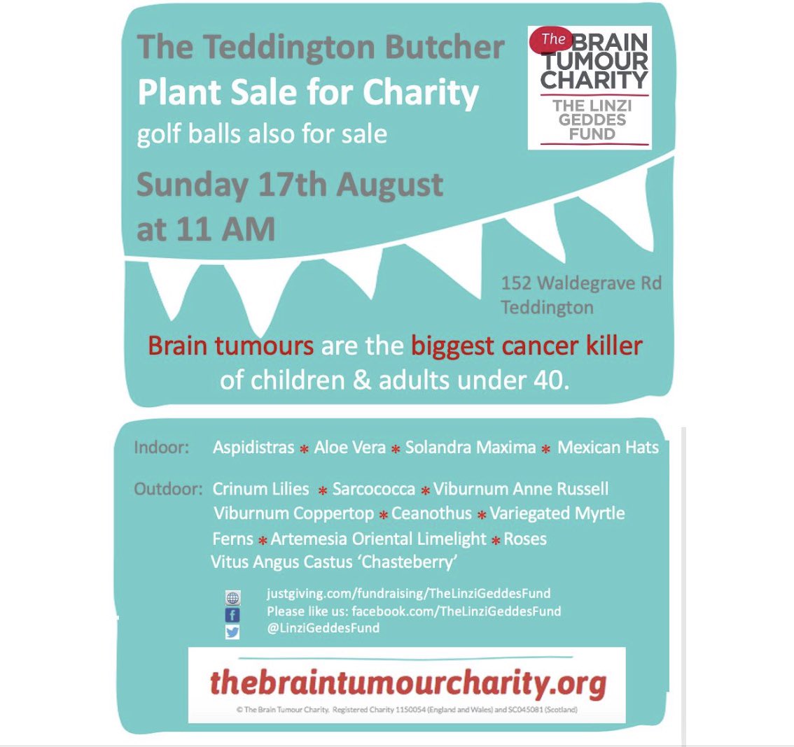 Plant and golf ball sale Sunday 17 August at 11 AM.  All proceeds to The Brain Tumour Charity.