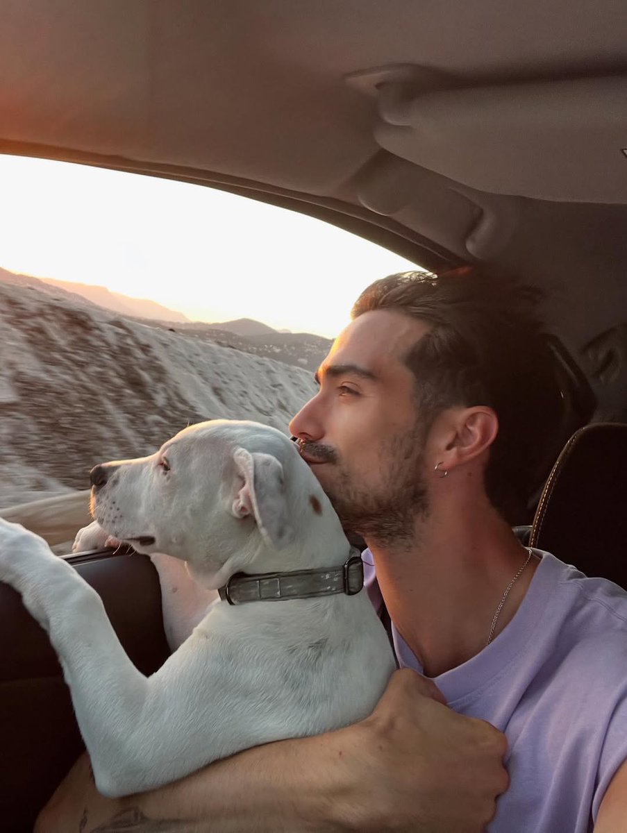 AgentJenkins_'s tweet photo. Got a good morning workout in before Spottie and I went sight seeing

She is like her daddy. She wants to see what the world is like https://t.co/vewzWsFWLZ