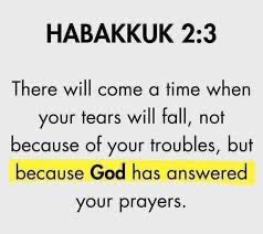 Buckets: Miller Time 🍻 tweet media