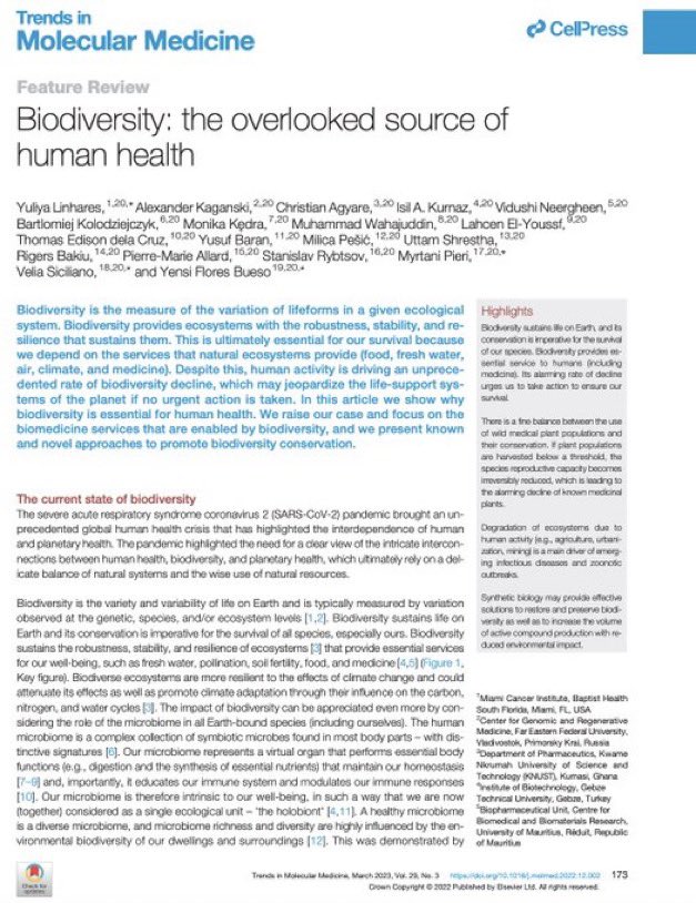 npunwani's tweet image. More than 70% of cancer therapies come from existing natural compounds

Paclitaxel chemotherapy derives from the Pacific yew tree 

Aspirin and antimalarials like quinine &amp;amp; artemisinin come from plants

Biodiversity is an overlooked source of human health cell.com/trends/molecul…