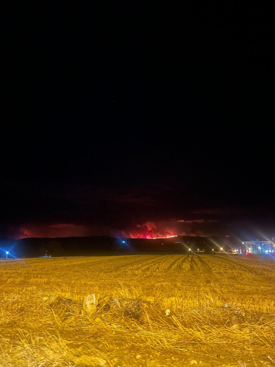 Çanakkale’mizin bağrında bir kez daha ateş yükseldi!

Gelibolu’ya bağlı Tayfur ve Karainebeyli köylerinde başlayan yangın; Eceabat’a bağlı Büyükanafartalar, Küçükanafartalar ve Kumköy’e kadar ulaştı, tahliyeler başladı.

Evlerimiz, ormanlarımız, bereketli topraklarımız tehdit