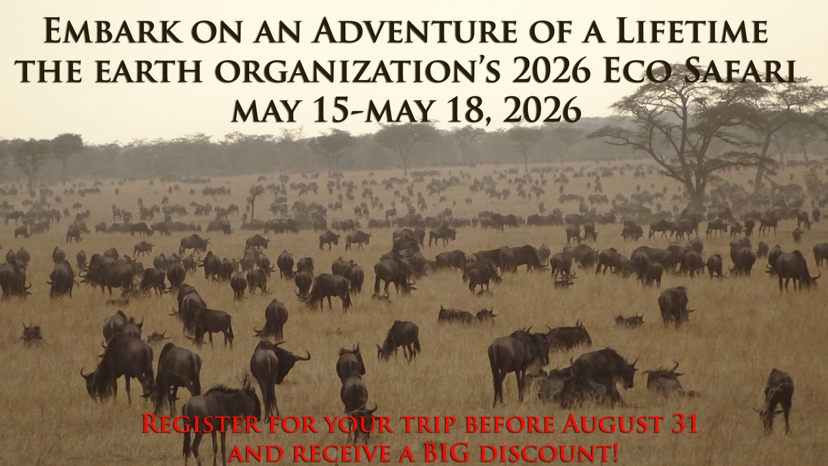 Join us on this amazing adventure. Reservations are very limited and are filling up. And our next discount deadline is coming fast. August 31st is almost here! Learn more at theearthorganization.org/eco-safari/
#safari #ecosafari #WildSide #africa #theearthorganization #environment