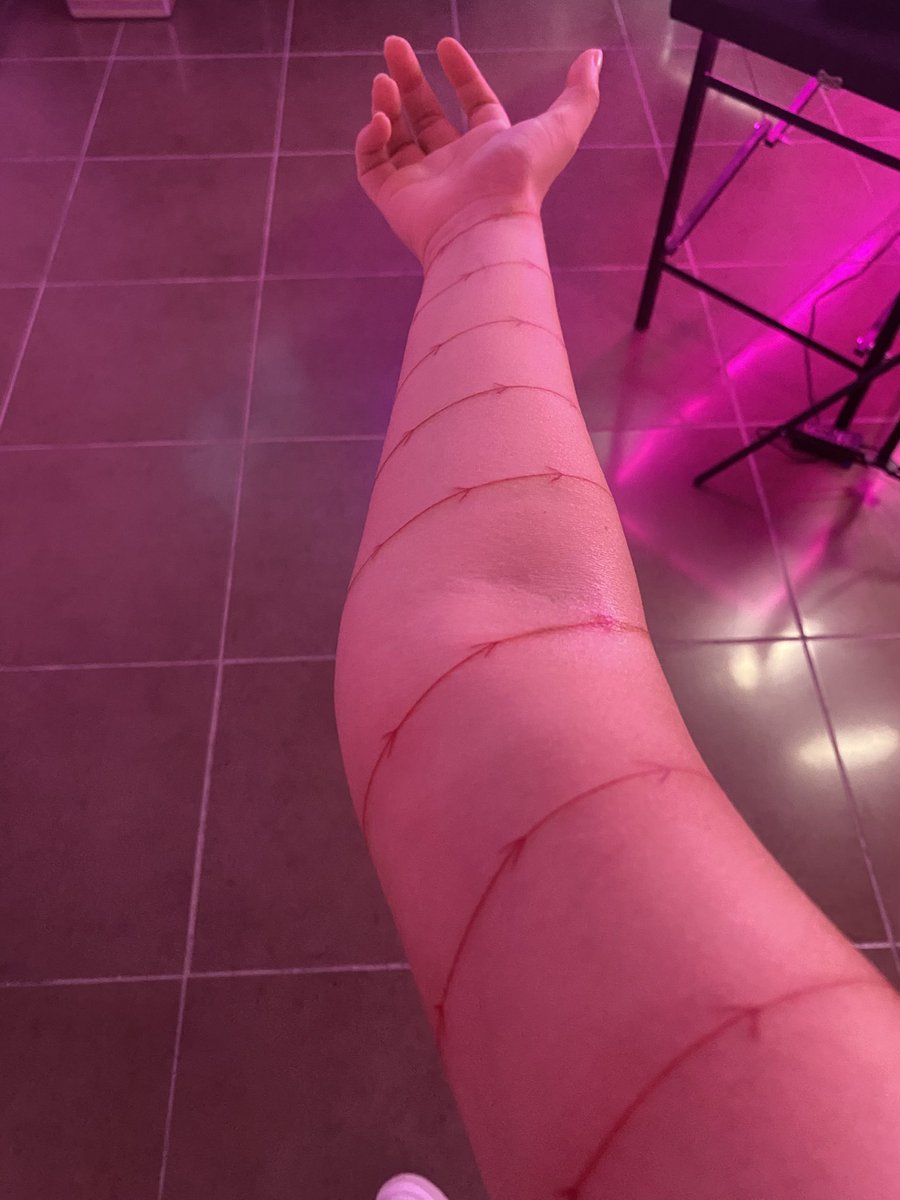 snowy owl tweet media