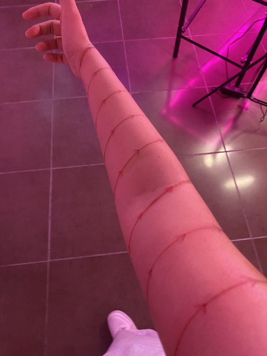 snowy owl tweet media