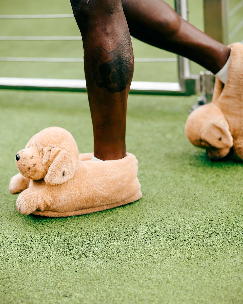 Protrending's tweet image. Got that dawg in him!