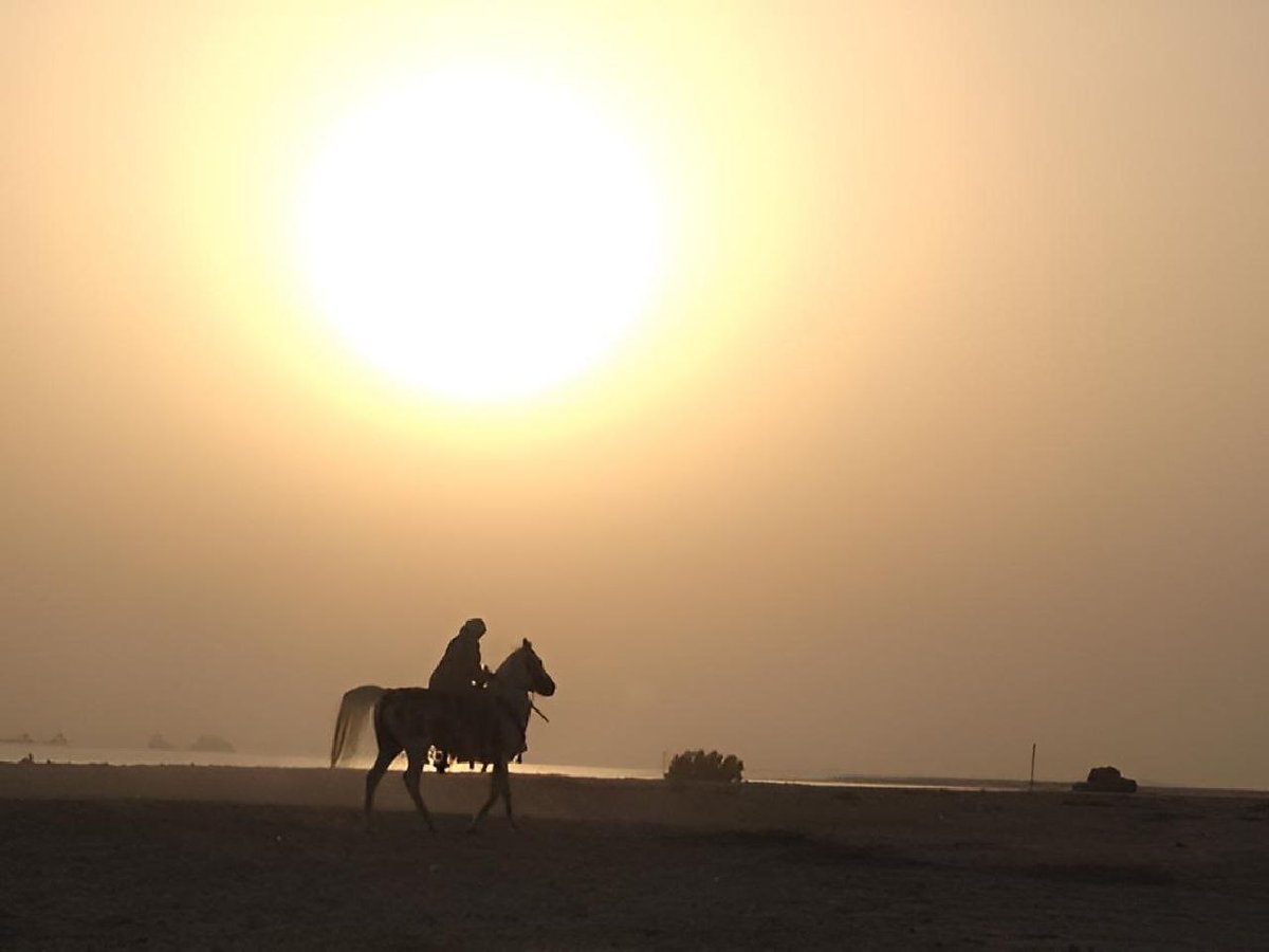 Good night world 🌙 

📌Single rider

▫️Edition : 1/1

#NFT #NFTCommunity #tezosart #NFTCollection #NFTartist #NFTartist #nftcollectors #surrealart #nftart #collectors #art #photography #photographycommunity 

objkt.com/tokens/KT1Ud4o…