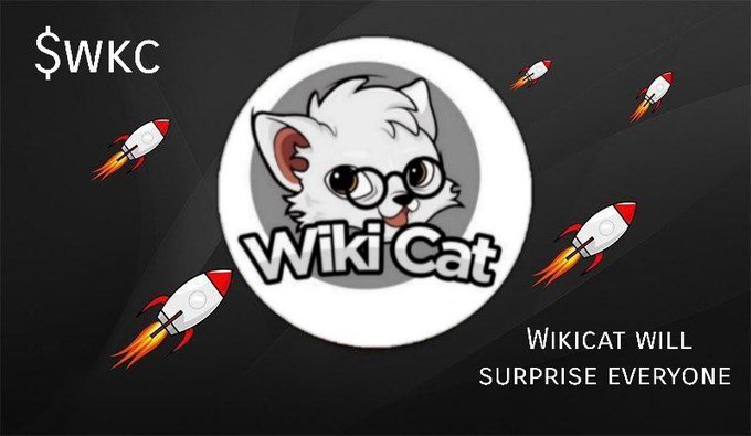 Sir Nelson Oziegbe "🐉 $MON" 🕹️ $AEG |Voltix.ai (@crypto_diet) on Twitter photo Should I spray Wikicat?
Once I get to 2000 Followers I might spray 10B wikicat to over 2000 persons
Don't miss $wkc Should I spray Wikicat?
Once I get to 2000 Followers I might spray 10B wikicat to over 2000 persons
Don't miss $wkc