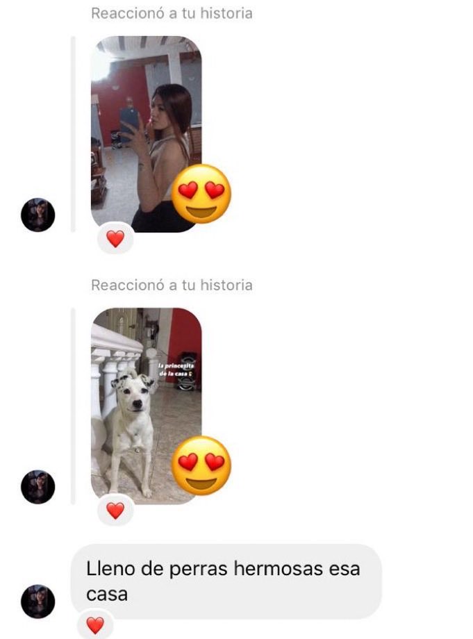 gente chamuyando (@gentechamuyando) on Twitter photo 