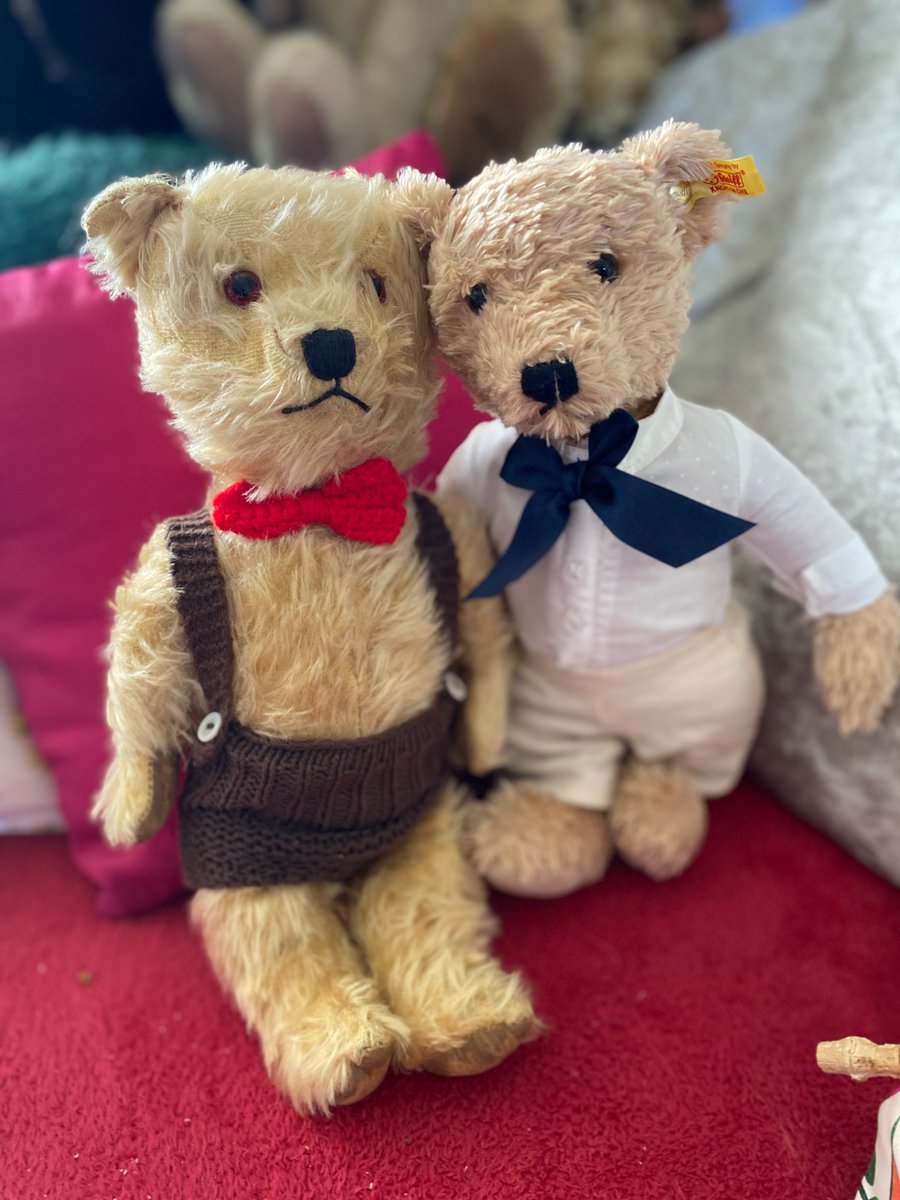 Frogletiscool's tweet image. Looks like I’m back somehow not sure if it will stay on though..   @FredTedOlga @nolongernakie @BearBendor72384 @spauldingtbear @stuffierescue @gaels_home @monkey_maisie