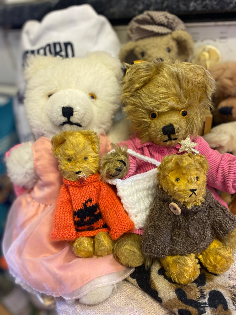 Frogletiscool's tweet image. Looks like I’m back somehow not sure if it will stay on though..   @FredTedOlga @nolongernakie @BearBendor72384 @spauldingtbear @stuffierescue @gaels_home @monkey_maisie