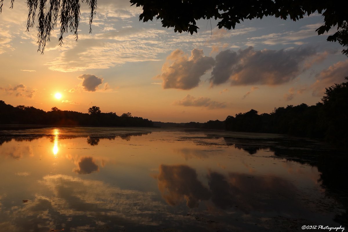 0312_Photography tweet media