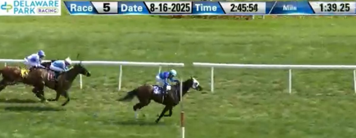MJM Stable (@mjm_stable) on Twitter photo Alrasikh comes up second best on the grass today <a href="/DelParkRacing/">Delaware Park</a> under a good ride from Gabriel Maldonado Continued solid training job by <a href="/carrasco_racing/">Carrasco Racing Stable</a> with this gelding. We will get the win next time! <a href="/zambrana_eddie/">Eddie zambrana</a> Alrasikh comes up second best on the grass today <a href="/DelParkRacing/">Delaware Park</a> under a good ride from Gabriel Maldonado Continued solid training job by <a href="/carrasco_racing/">Carrasco Racing Stable</a> with this gelding. We will get the win next time! <a href="/zambrana_eddie/">Eddie zambrana</a>