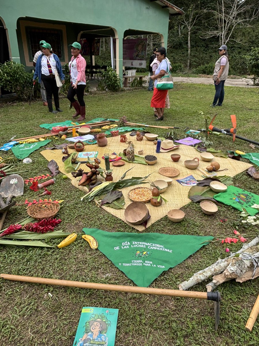 Gracias presidenta <a href="/XiomaraCastroZ/">Xiomara Castro de Zelaya</a> por el acceso a la tierra a nuestras mujeres campesinas hoy celebramos la entrega de 70 manzanas de tierra a las mujeres rurales una lucha de años avanzamos y continuaremos con <a href="/riximga/">Rixi Moncada</a> cambiando vidas a las mujeres rurales <a href="/PartidoLibre/">Partido Libre</a>