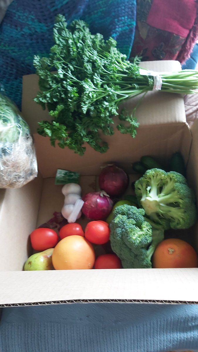 BSwirlsi's tweet photo. My Odd Bunch box was delivered! Plus a bag of cherries! Yummers! #OddBox https://t.co/xr1wfxCwm9